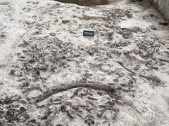 -金沙遗址博物馆