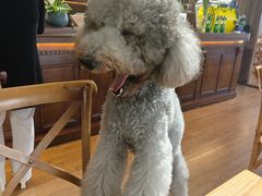 -沏点Trattoria意大利餐厅(新街口店)