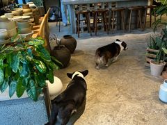 -自由生长植物工作室(深港花卉中心店)