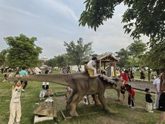 -长洲岛