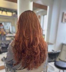 -镁连社·美联社