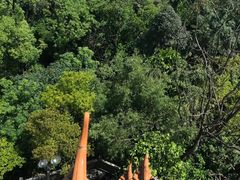 -水濂山森林公园