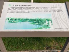 -尚贤河湿地