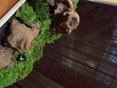 -水之惠鲜鱼料理(王府大街店)