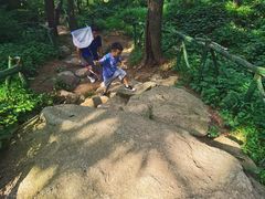 -鲁山国家森林公园