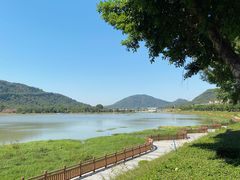 -风云岭森林公园