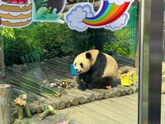 -大连森林动物园