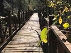 -青峰峡国家森林公园