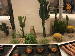 -OUR Bakery(SKP-S店)