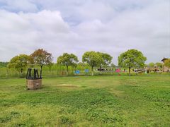 -上海都市菜园