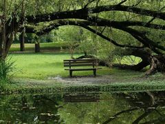 -上海共青森林公园