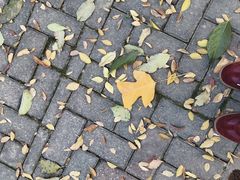 -长广溪湿地公园