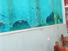 -鸭嘴鱼