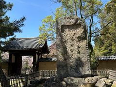 -奈良公园