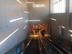 -盒马鲜生(红莲店)
