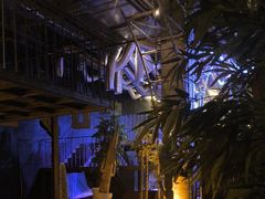 -夜的第七章·演艺自助餐厅