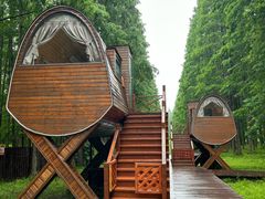 -黄海国家森林公园