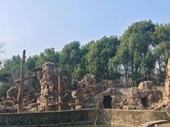 -合肥野生动物园