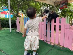 -萌宠亲子动物乐园(槐房万达店)