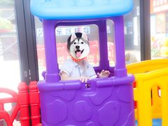 -黄浦乐烁龙鱼宝贝托育园(海潮路校区)