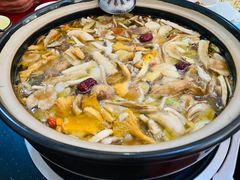 菌火锅-佳缘野生菌食府