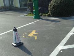 -大宁郁金香公园-停车场