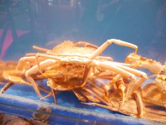 -綱元·海鲜豆捞(明州里店)