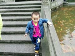 -忠山公园