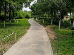 -大港湿地公园