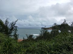 -广东惠东海龟国家级自然保护区