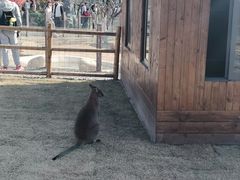 -茅山东方盐湖城景区