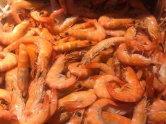 -海吃海喝海鲜烤肉炭火主题自助餐(朝阳店)