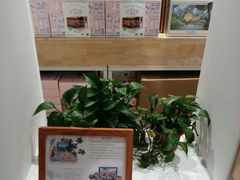 -猫的天空之城概念书店(苏州平江店)