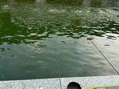 -DGE季风钓虾营地·团建·聚会