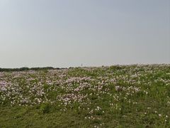 -南北湖风景区
