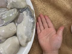 -濠轩阁特色生蚝火锅总店