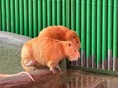 -杭州野生动物世界