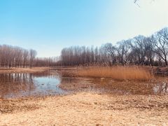 -东郊湿地公园