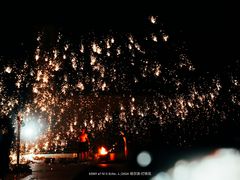 -哈尔滨文化公园