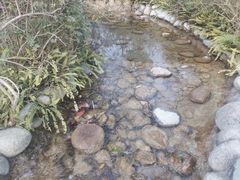 -成飞公园
