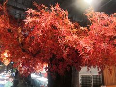 -雲蜀龙阁·金牌水煮鱼(方庄店)
