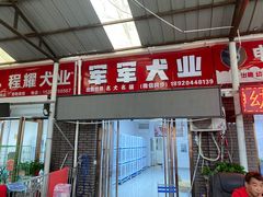 -中环花鸟鱼虫市场