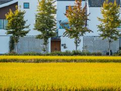-东梓关景区村庄