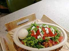 -油梨树AVOCADO TREE(嘉里中心店)