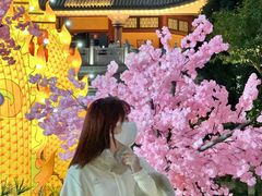 -厦门方特东方神画