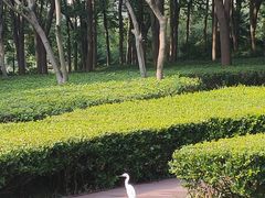 -苏州河梦清园环保主题公园