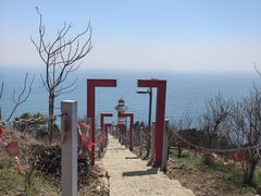 -灵山岛风景区