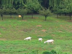 -黑河国家森林公园