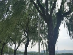 -济南国际园博园