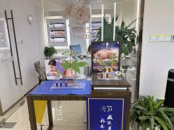 -美丽田园